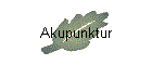 Akupunktur