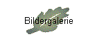 Bildergalerie