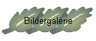 Bildergalerie