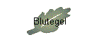 Blutegel
